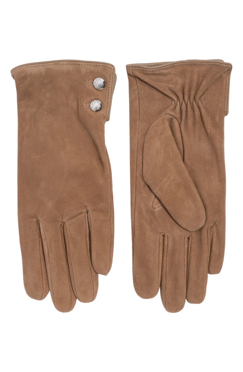 Lauren Ralph Lauren Crest Button Suede Gloves, Main, color, Taupe