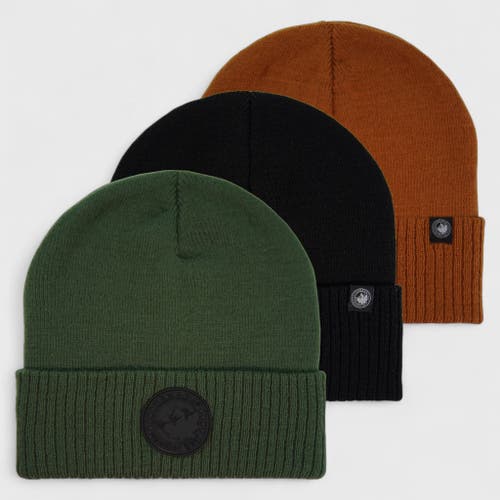 Canada Weather Gear Kids' Boys' 3-pack Beanies In Multi
