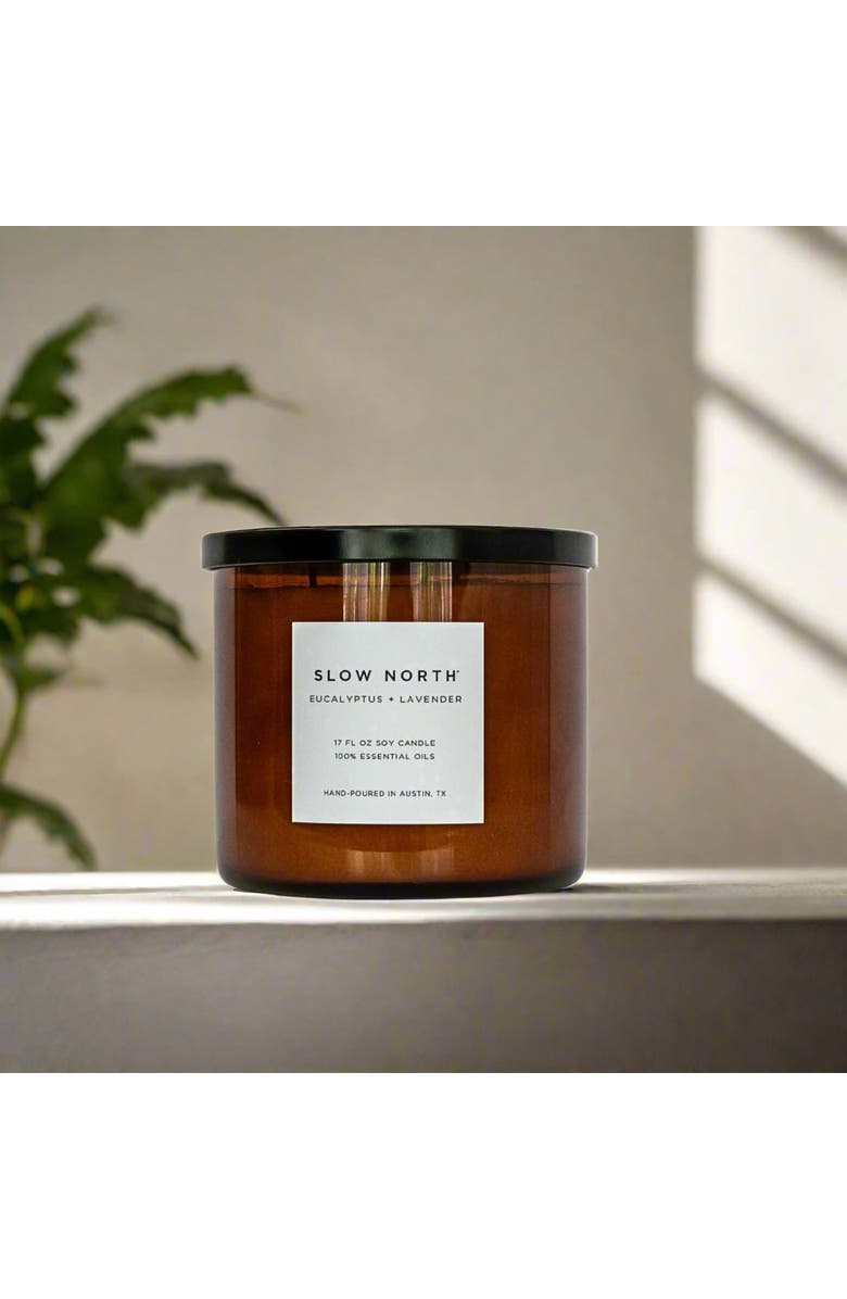 SLOW NORTH Eucalyptus + Lavender - Signature 3-Wick Candle, Alternate, color, Brown