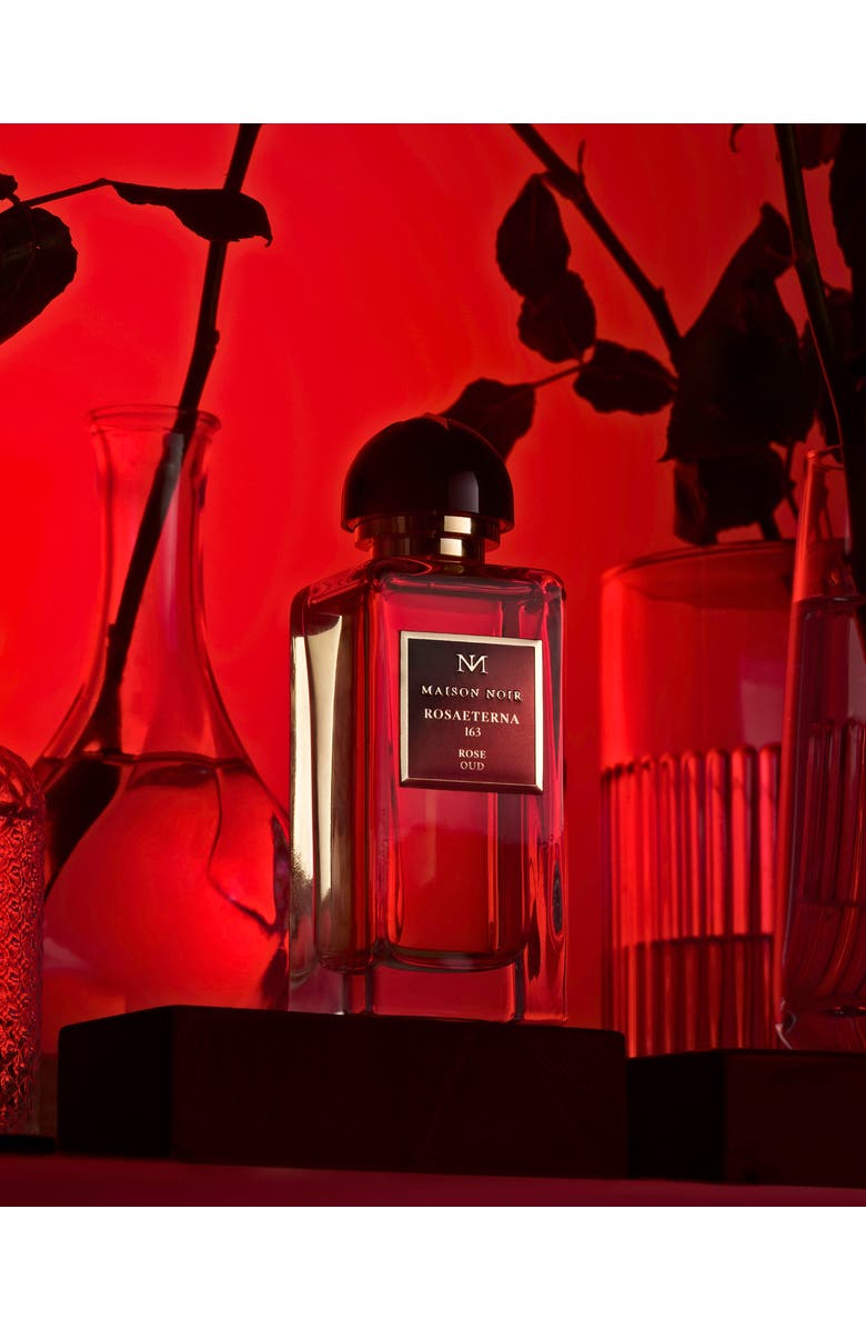 MAISON NOIR RosaEterna 163, Alternate, color, NO COLOR