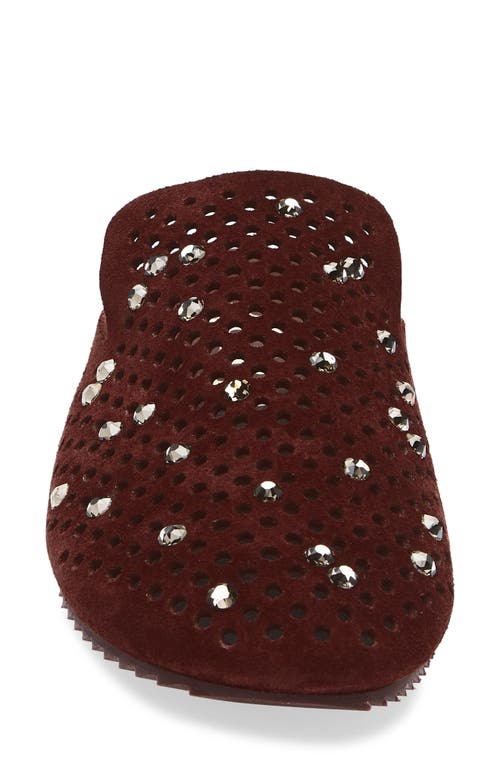 Pedro Garcia Braidy Studded Mule In Brown