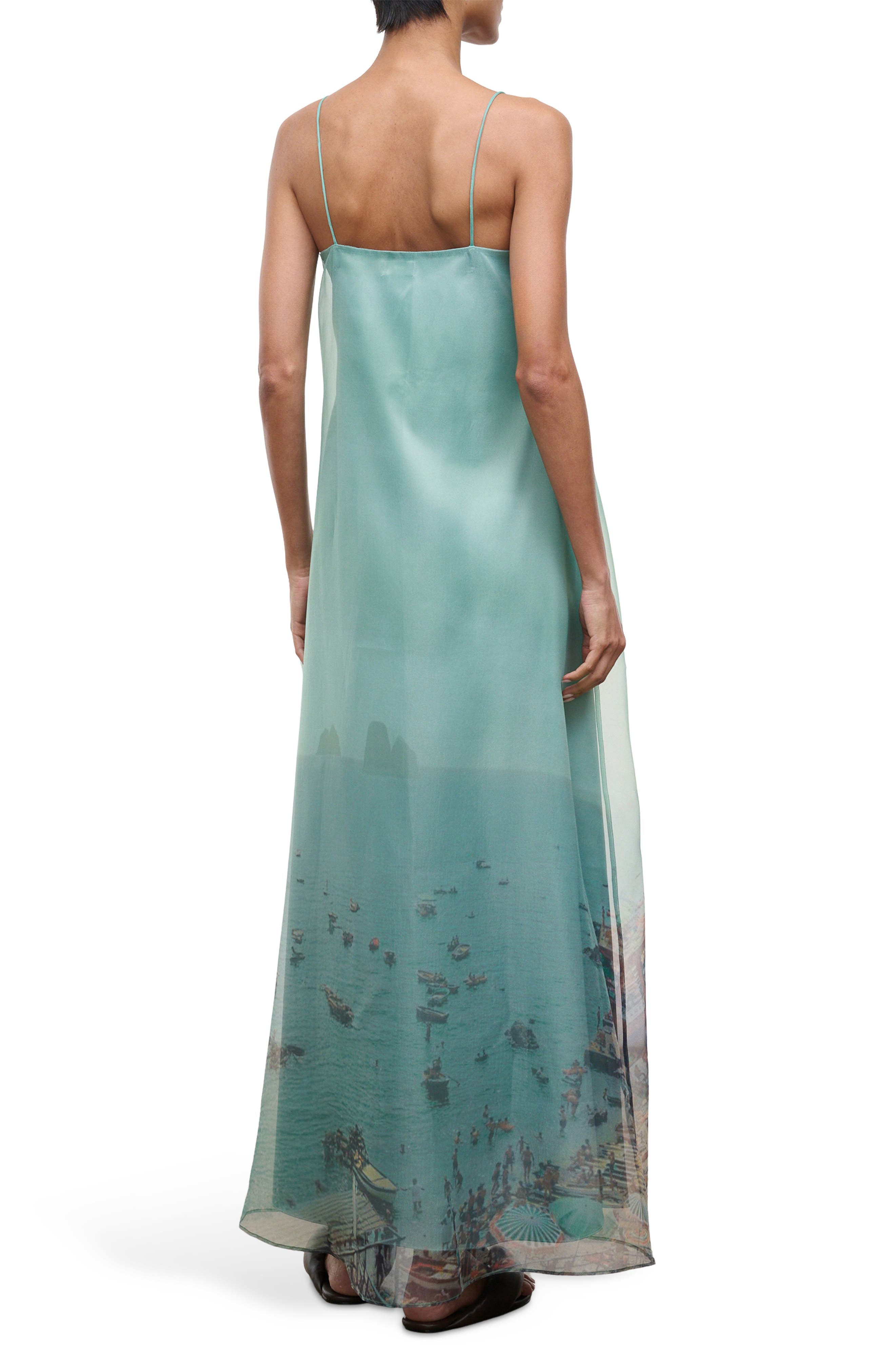 Delfina Print Organza Maxi Dress - image 2