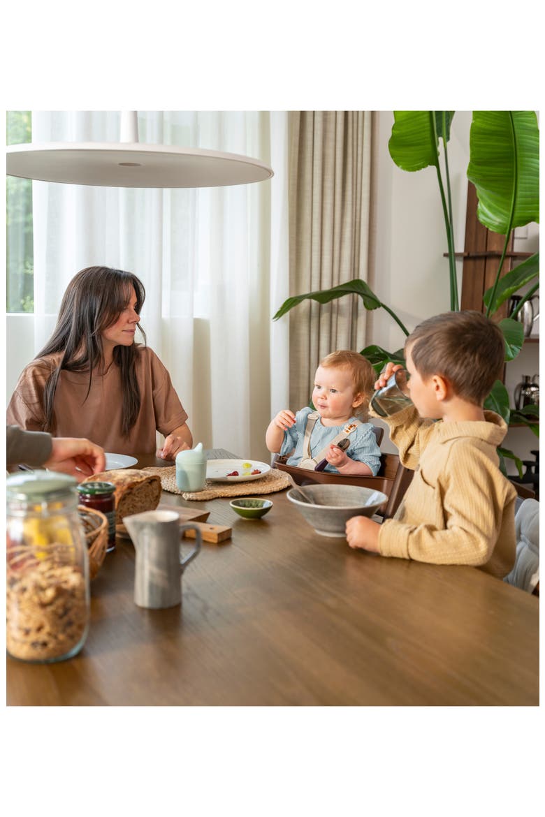 Tripp Trapp® Highchair² & Newborn Set $463 Value, Alternate, color, ANTHRACITE