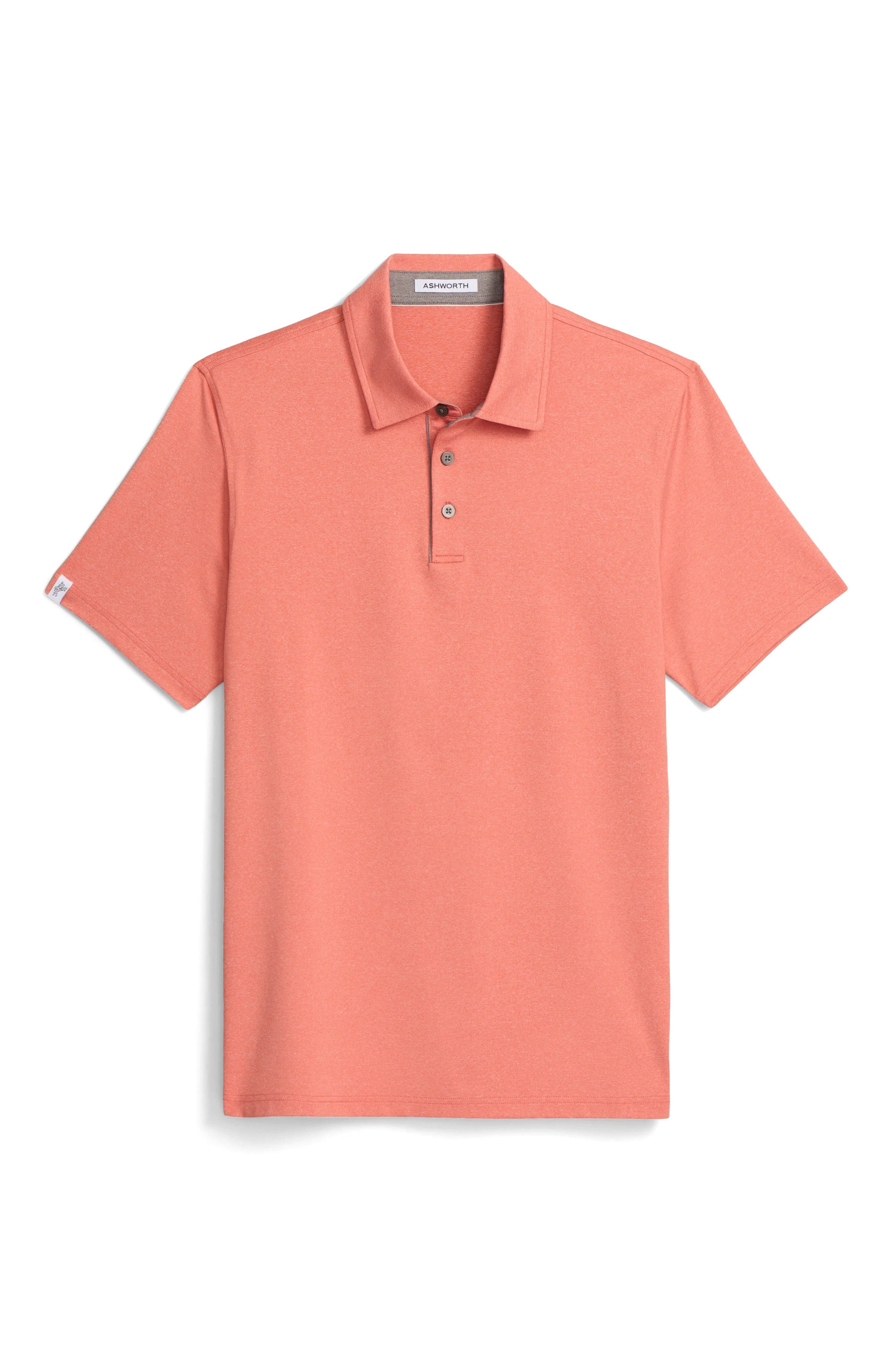 La Jolla Polo - image 2