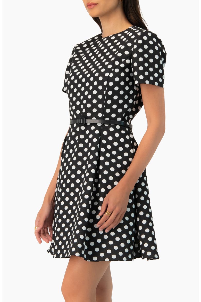 Polka Dot A-Line Short Dress, Alternate, color, Black