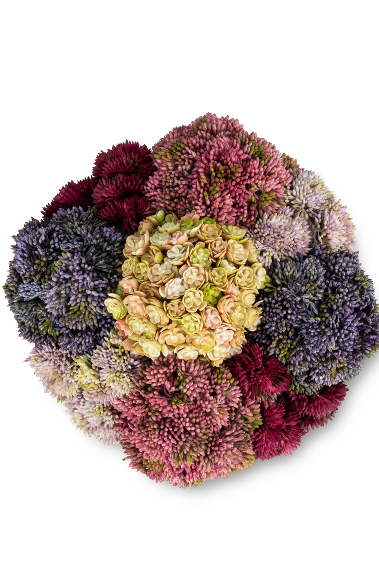 CocoBella Beatrix Gold Sedum Arrangement, Alternate, color, Multi-Color