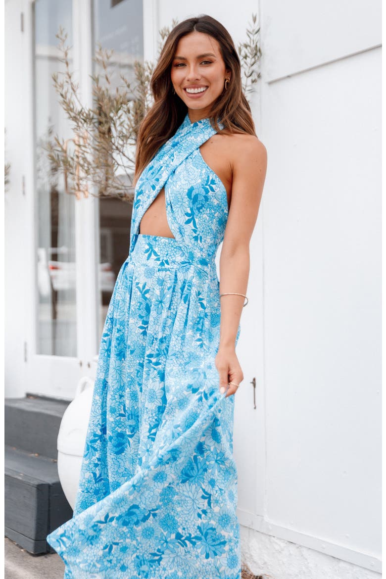 Clover Cotton Blend Maxi Dress, Alternate, color, BLUE FLORAL