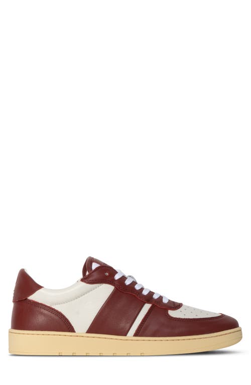 Collegium Pillar Destroyer Low Top Sneaker In Burgundy