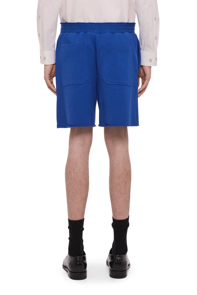 Cotton French Terry Shorts, Alternate, color, ROYAL BLUE