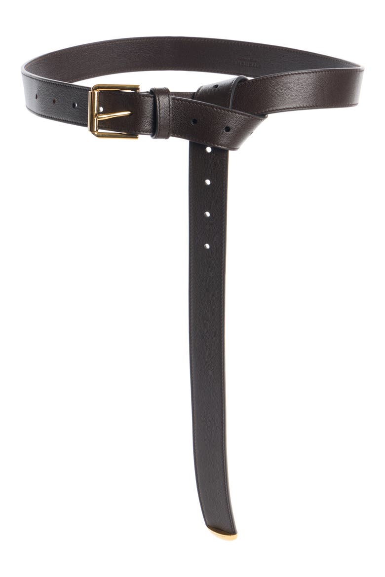 Voyou Metal Tip Leather Belt, Main, color, CHOCOLATE