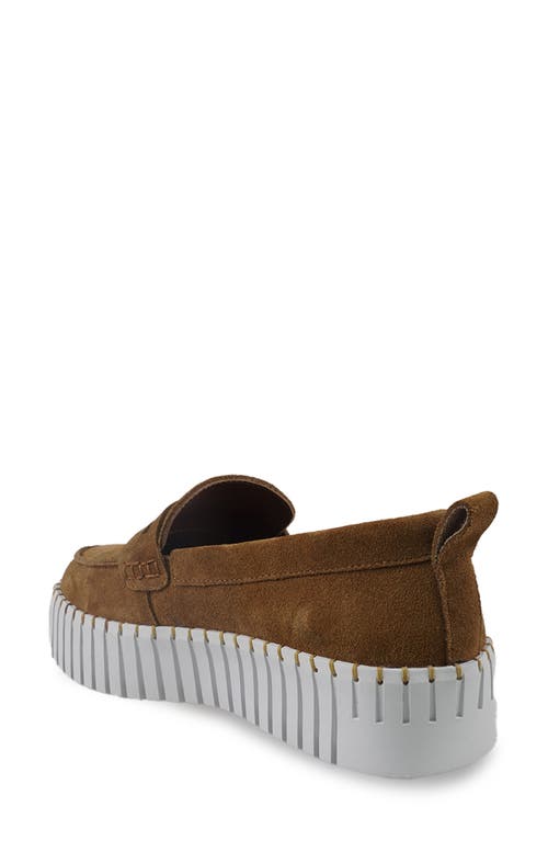National Comfort Makota Suede Loafer In Tan Suede