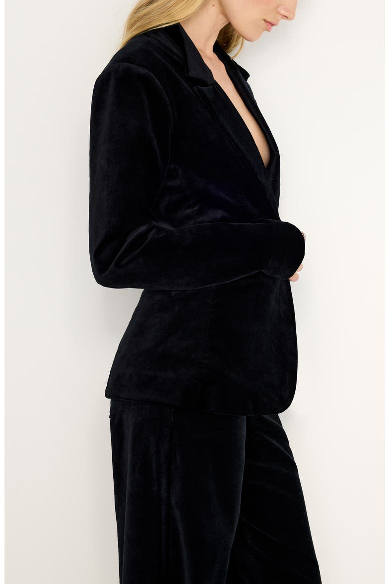 Sculpted Velvet Blazer, Alternate, color, BLACK001
