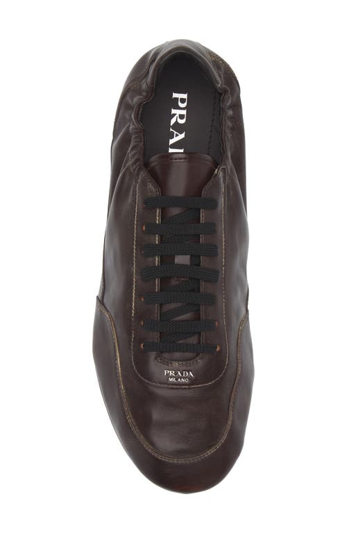 Prada Collapse Low Top Sneaker In Brown