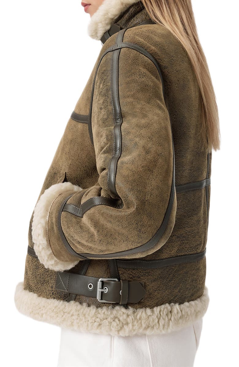 AllSaints Lorel Leather & Genuine Shearling Flying Jacket, Alternate, color, Vintage Brown