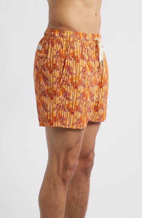 Fair Harbor Bungalow Water Repellent Swim Trunks In Sunny Bamboo Wl
