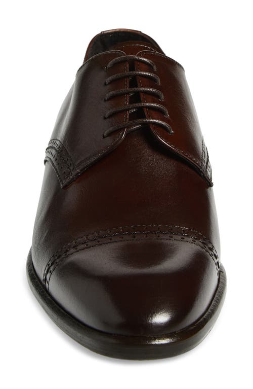 Bruno Magli Stefano Cap Toe Derby In Brown