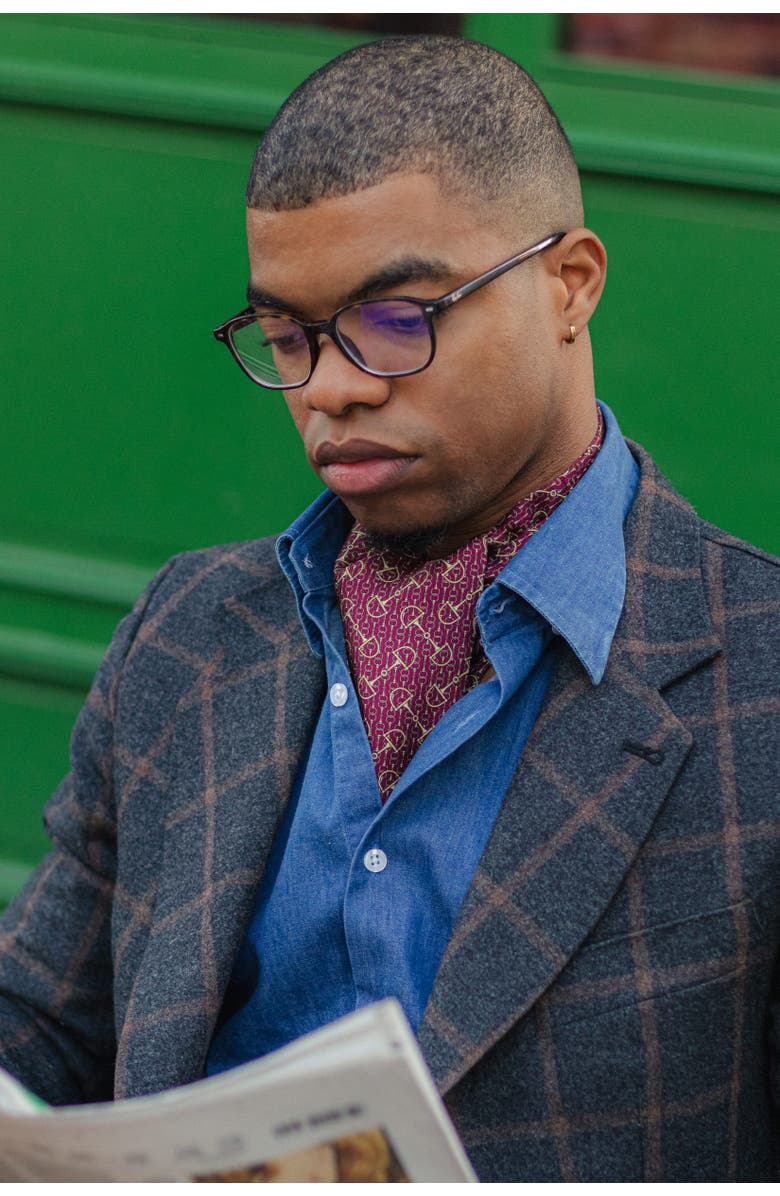 Elizabetta Derby - Silk Ascot Cravat Tie for Men, Alternate, color, Burgundy