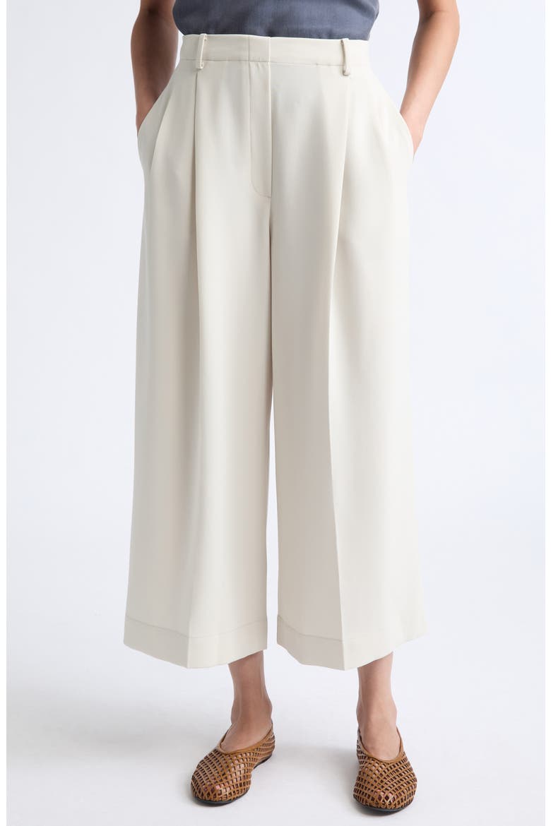 Arielle Crop Wide Leg Trousers, Main, color, MOON