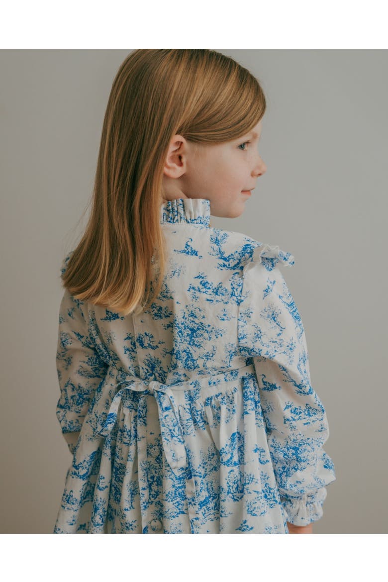 Aoki Blue Toile Long Sleeve Dress, Alternate, color, 3-4Y