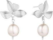 Set & Stones Maeve Pearl Drop Earrings