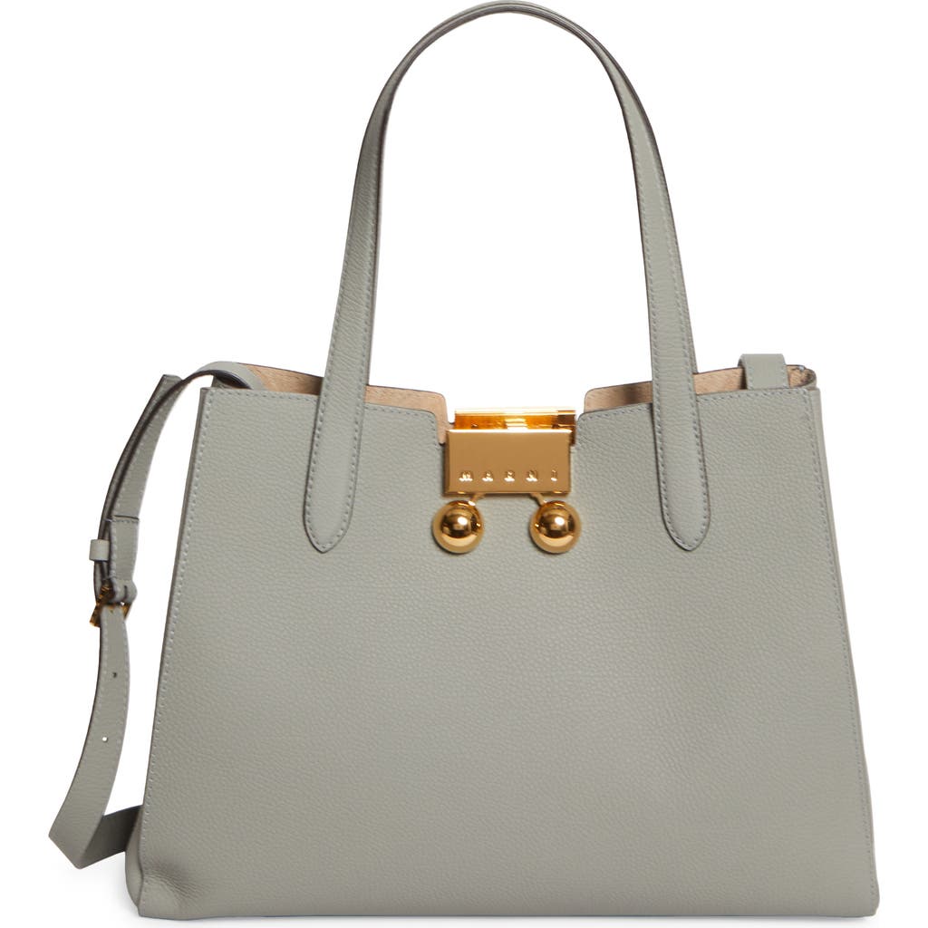Marni Small Trunkaroo Leather Tote In Light/grey