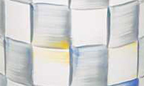 Mackenzie-childs Mackenzie Childs Sterling Check Enamel Set Of 3 Canisters With Lids In Neutral
