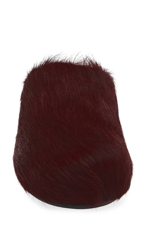 Marni Fussbett Sabot Genuine Calf Hair Clog In Brown