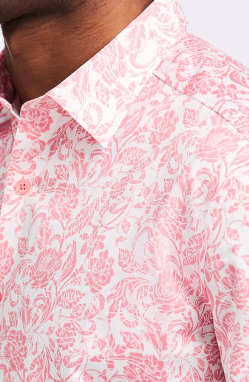 Robert Graham Caledon Cotton Button-up Shirt