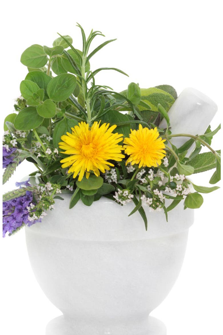 Calendula Lavender Mist, Alternate, color, None