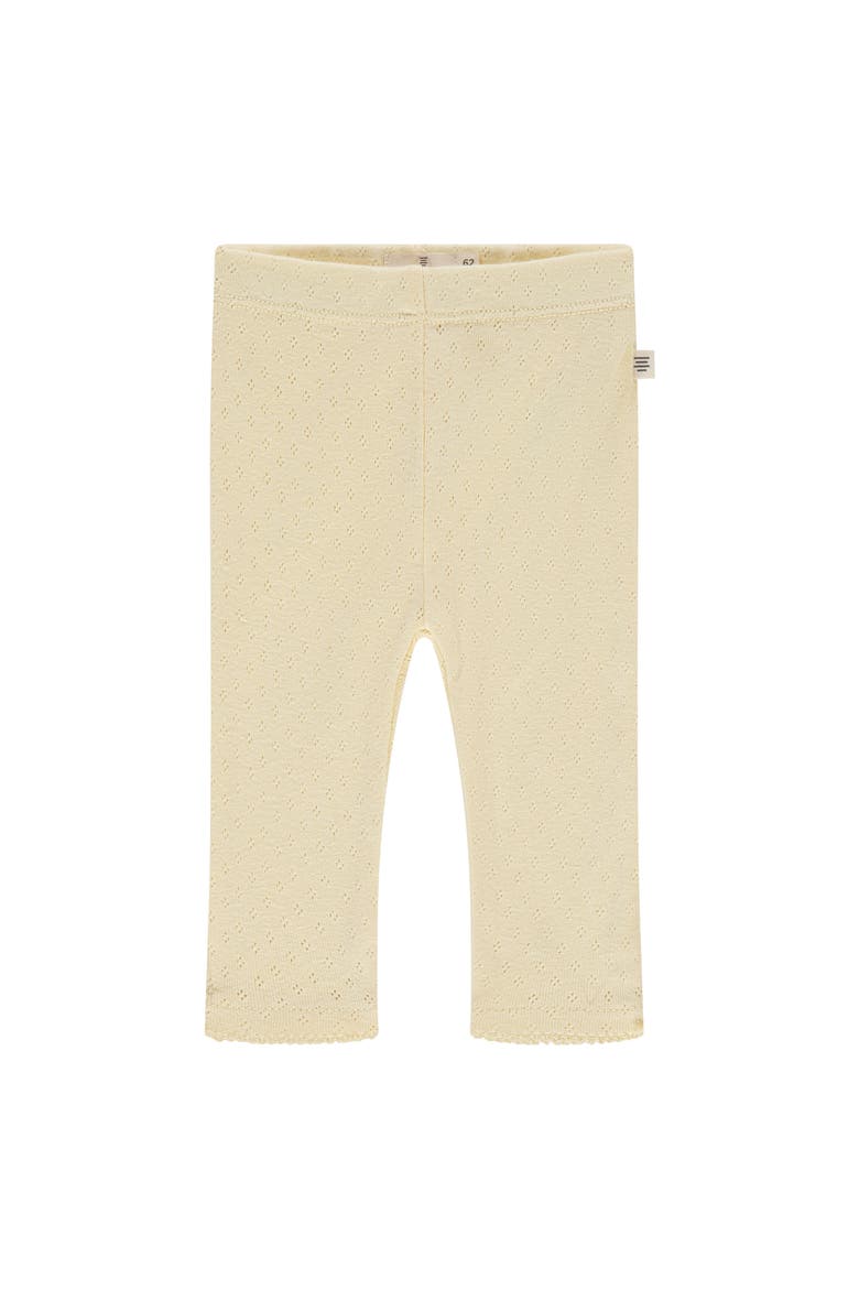 Pointelle Leggings, Main, color, Buttercup