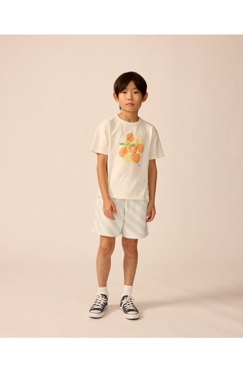 The Sunday Collective Organic Weekend Tee, Alternate, color, White Mixed Fruit