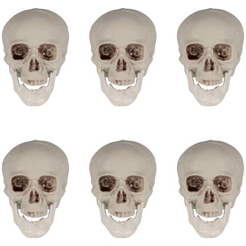 Northlight Skeleton Skulls Halloween Decorations In White