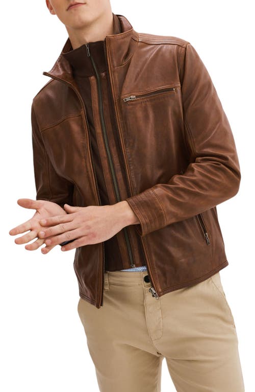 Regency Lambskin Leather Jacket In Cognac