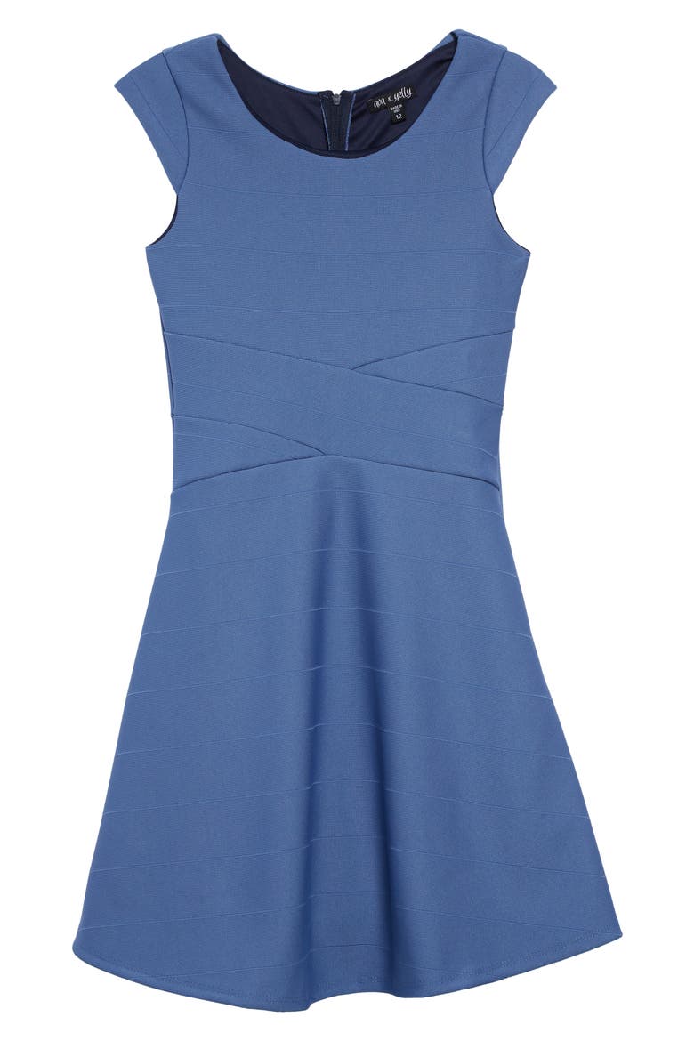Skater Dress, Main, color, DENIM BLUE
