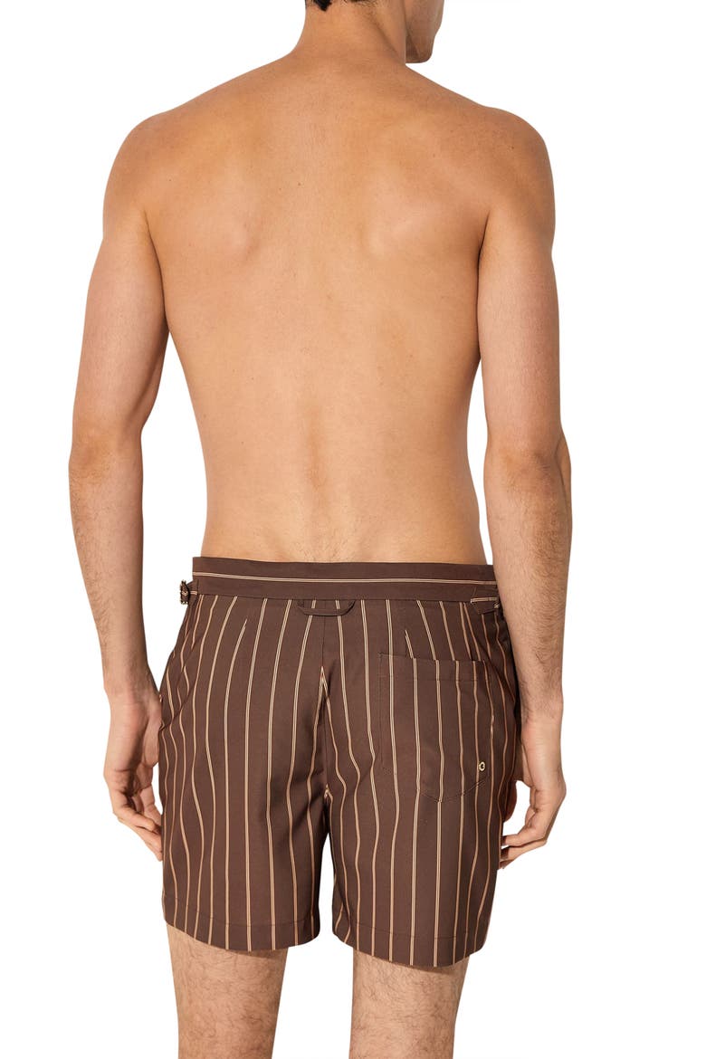 Presley Stripe Side Adjuster Swim Trunks, Alternate, color, DARK BROWN