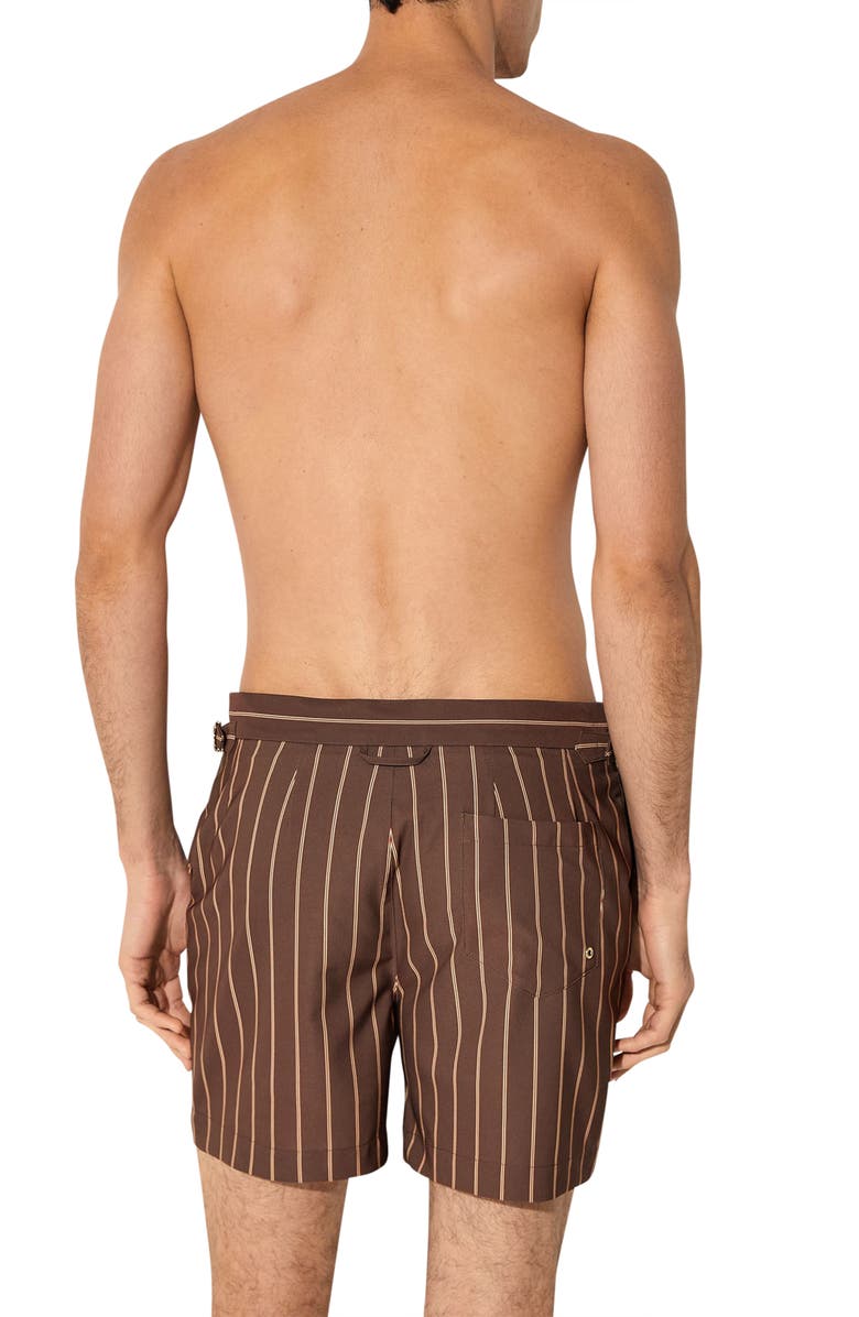 Reiss Presley Stripe Side Adjuster Swim Trunks, Alternate, color, Dark Brown
