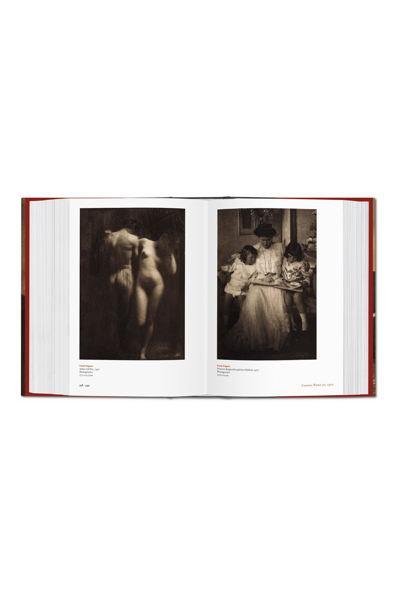 Alfred Stieglitz Camera Work English French German Book, Alternate, color, multicolor