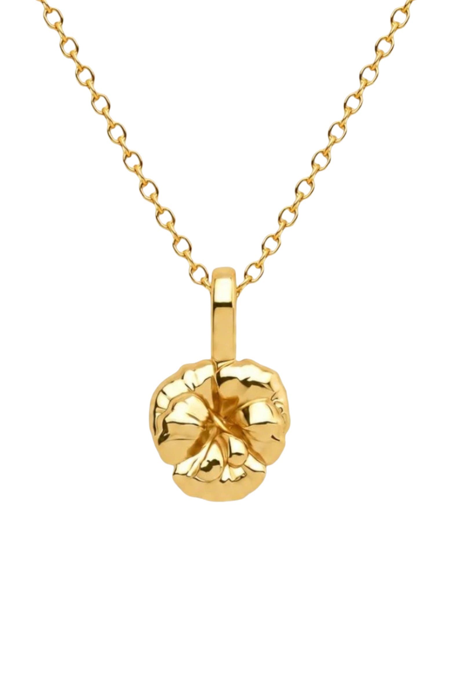 Gold Vermeil - February