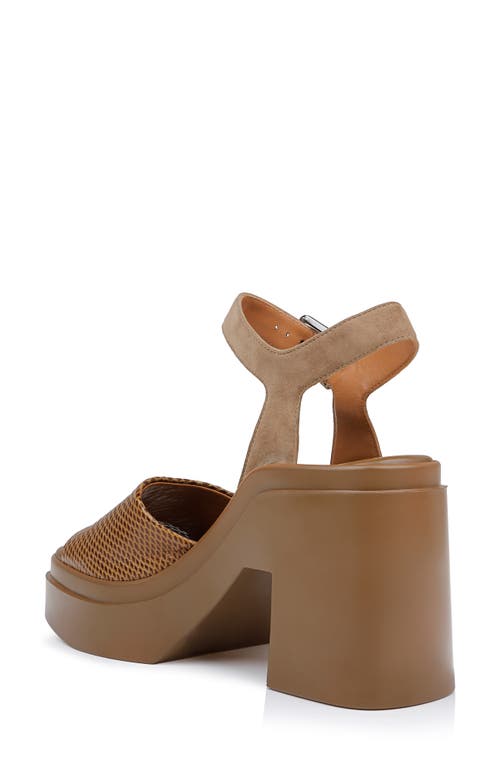 Clergerie Nelio Platform Sandal In Wood Whips