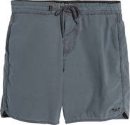 DARK SEAS Go To Board Shorts