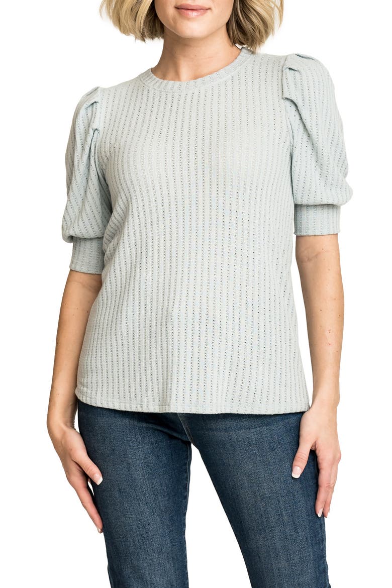 Pointelle Puff Sleeve Knit Top, Main, color, CHAMBRAY