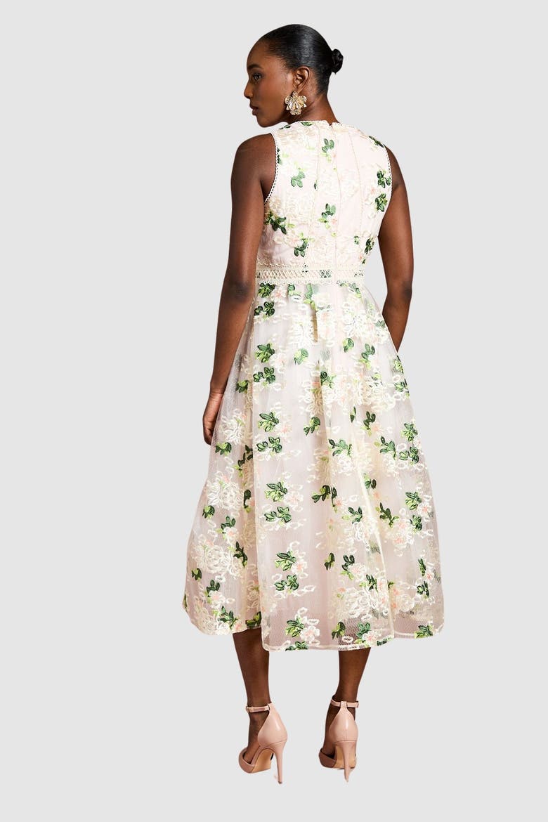 Embroidered Mesh Lace Skirted Midi Dress, Alternate, color, Blush