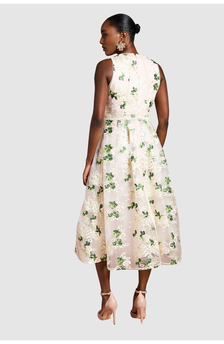 Coast Embroidered Mesh Lace Skirted Midi Dress, Alternate, color, Blush