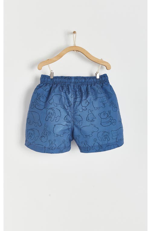 Babycottons Beach Swim Trunks In Blue