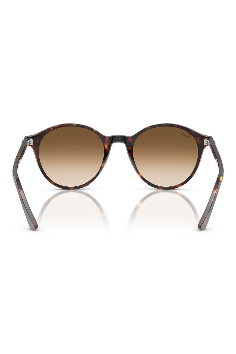 Phantos 53mm Round Gradient Sunglasses, Alternate, color, HAVANA