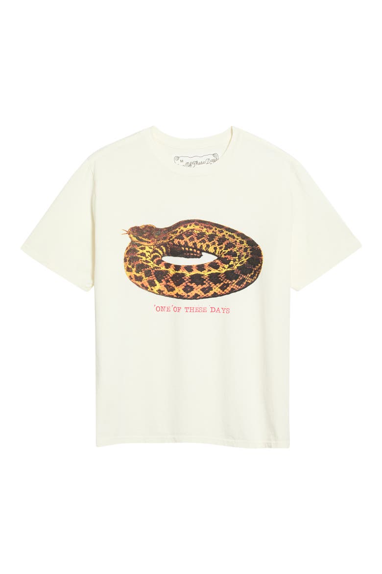 Rattler Cotton Graphic T-Shirt, Main, color, BONE