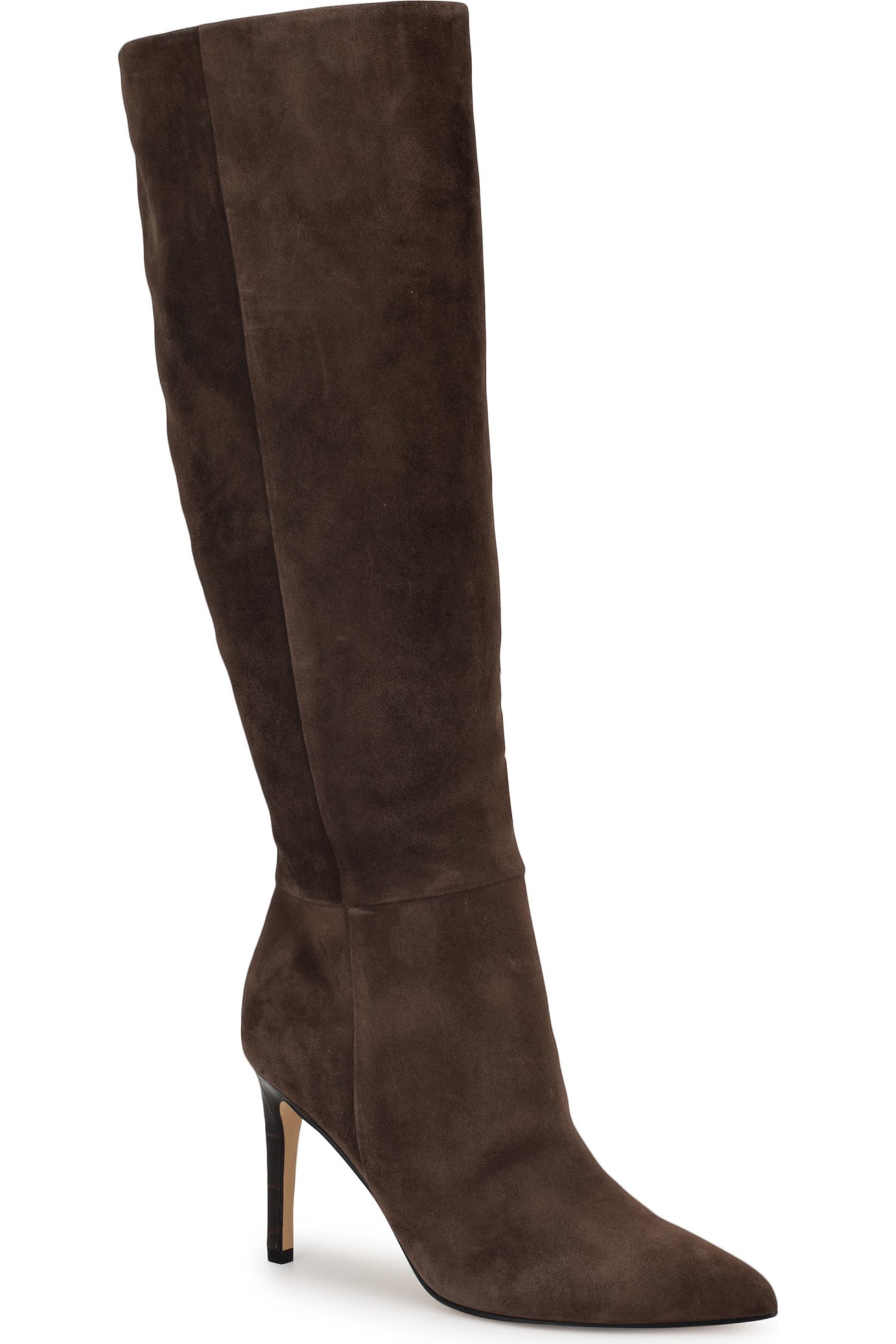 Richy Pointed Toe Knee High Boot