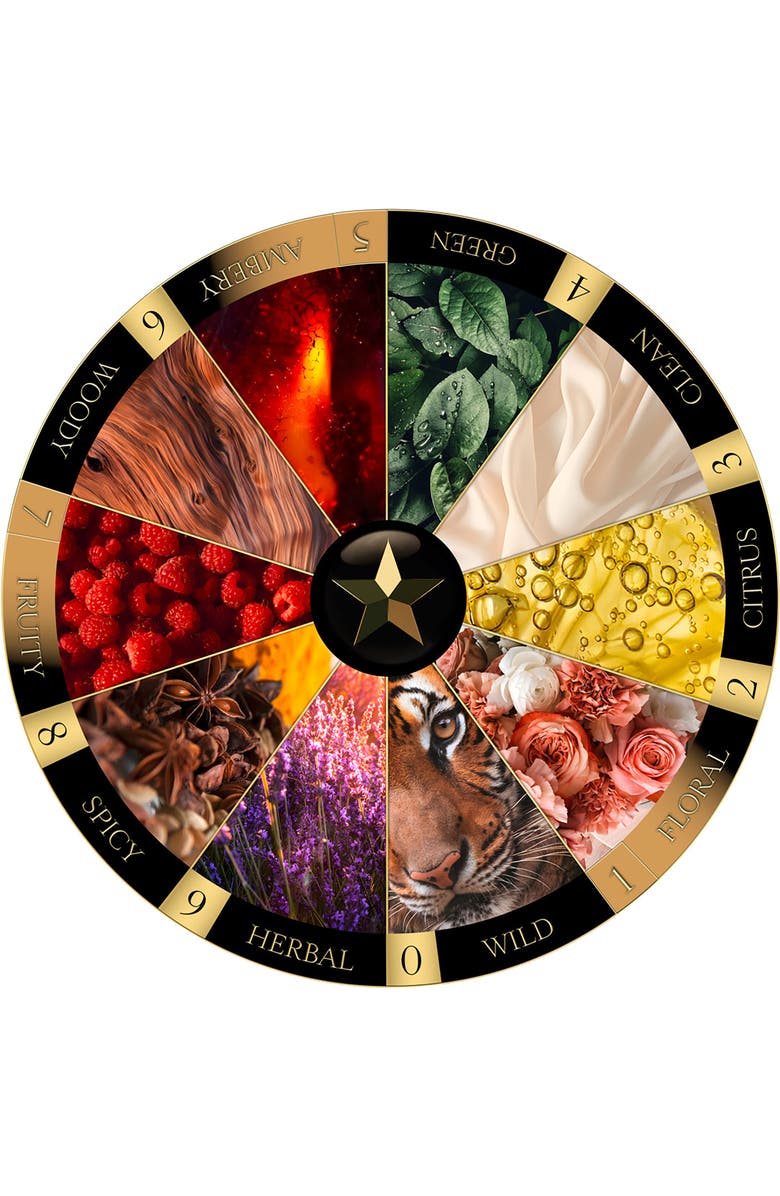 MAISON NOIR Somnia 517, Alternate, color, NO COLOR