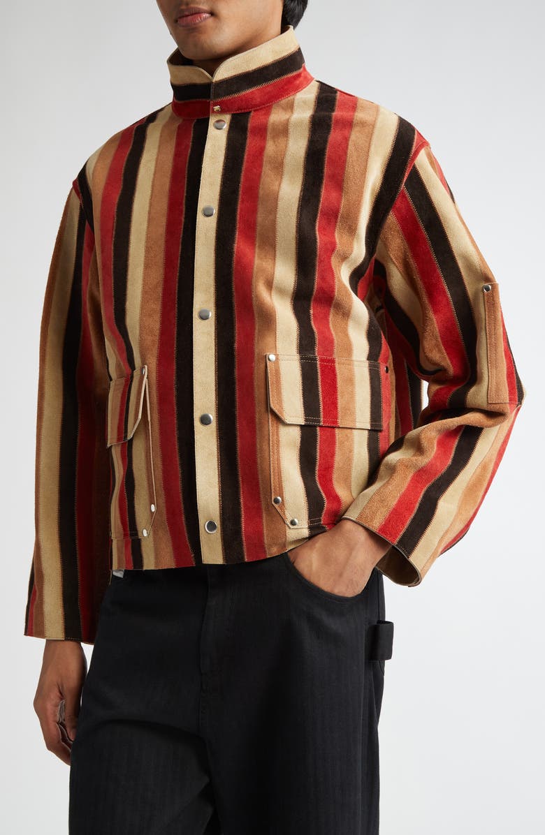Bode Matchstick Stripe Suede Jacket, Alternate, color, 