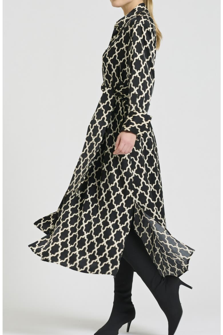 Amelie Print Cotton Shirtdress, Alternate, color, MOROCCAN PRINT